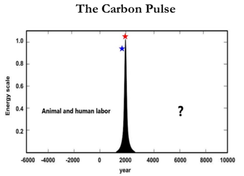 Carbon Pulse